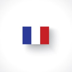 Flag of France N16