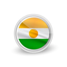 Vector rounded waving flag button icon of Niger