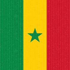 Senegal Flag N12