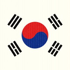 South Korea Flag N30