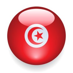 World Flag Button Tunisia