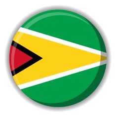 Guyana flag button vector