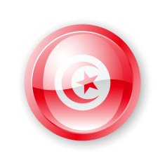 Tunisia Flag icon N2