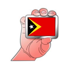 hand holding Timor flag