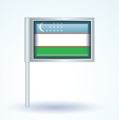Flag of Uzbekistan vector illustration N2