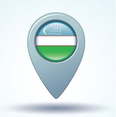 Flag of Uzbekistan vector illustration N4
