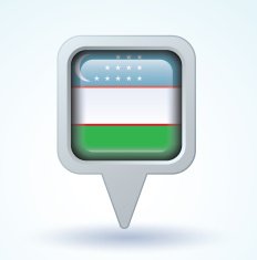 Flag of Uzbekistan vector illustration N5