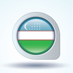 Flag of Uzbekistan vector illustration N6