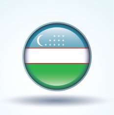 Flag of Uzbekistan vector illustration N7