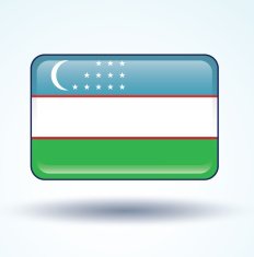Flag of Uzbekistan vector illustration N8