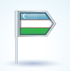 Flag of Uzbekistan vector illustration N9