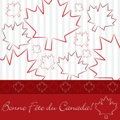 Hand drawn maple leaf Canada Day card in vector format N2
