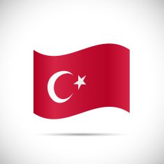 Turkey Flag Illustration N2