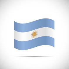 Argentina Flag Illustration N2