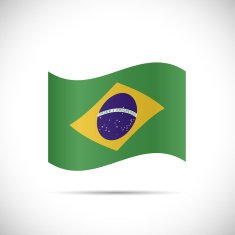 Brazil Flag Illustration