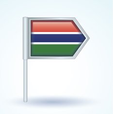 Flag of Gambia vector illustration N2