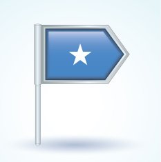 Flag of Somalia vector illustration N2