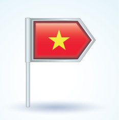 Flag of Vietnam vector illustration N2