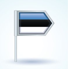 Flag of Estonia vector illustration N2