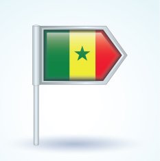 Flag of Senegal vector illustration N2