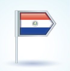 Flag of Paraguay vector illustration N2