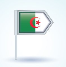 Flag of Algeria vector illustration N2