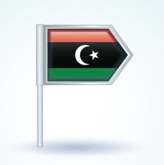 Flag of Libya vector illustration N2