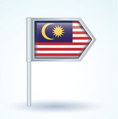 Flag of Malaysia vector illustration