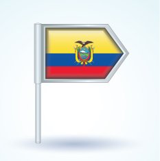Flag of Ecuador vector illustration N2