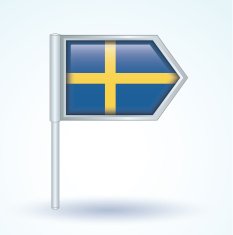 Flag of Sweden vector illustration N2