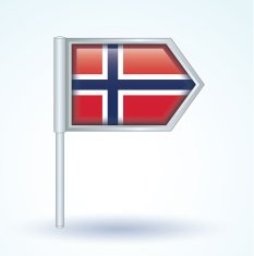 Flag of Norway vector illustration N2