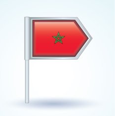 Flag of Morocco vector illustration N2