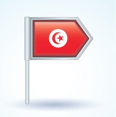 Flag of Tunisia vector illustration N2