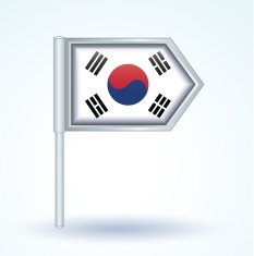 Flag of South korea vector illustration N2