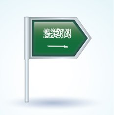 Flag of Saudi Arabia vector illustration N2