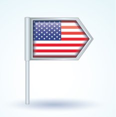 Flag of United states america vector illustration