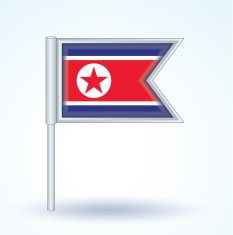 Flag of vector illustration N2