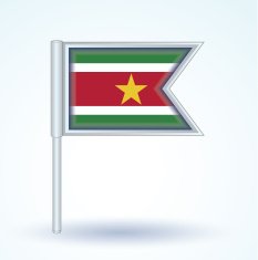 flag of Suriname vector illustration N4
