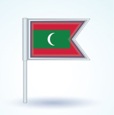 Flag of Maldives vector illustration N3