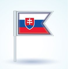 Flag of Slovakia vector illustration N3