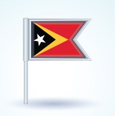 Flag of East Timor vector illustration N3