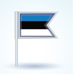 Flag of Estonia vector illustration N3