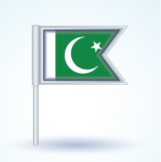Flag of Pakistan vector illustration N3