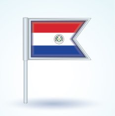 Flag of Paraguay vector illustration N3