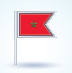 Flag of Morocco vector illustration N3