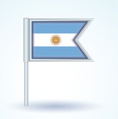 Flag of Argentina vector illustration N2