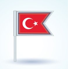 Flag of Turkey vector illustration N2