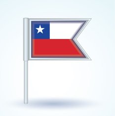 Flag of Chile vector illustration N3