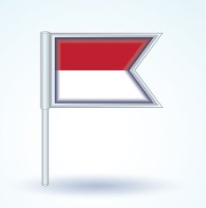 Flag of Indonesia vector illustration N2