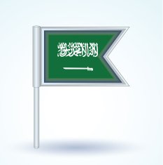 Flag of Saudi Arabia vector illustration N3